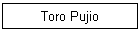 Toro Pujio